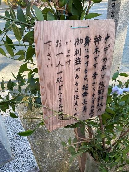 年始の風景1